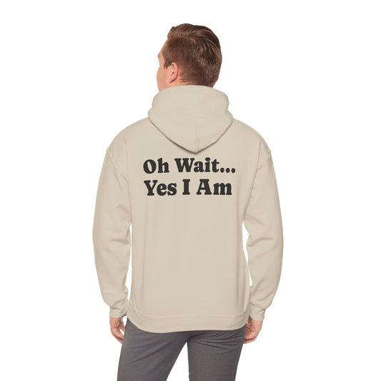 Im not always right.. Oh wait.. yes i am (Hoodie)
